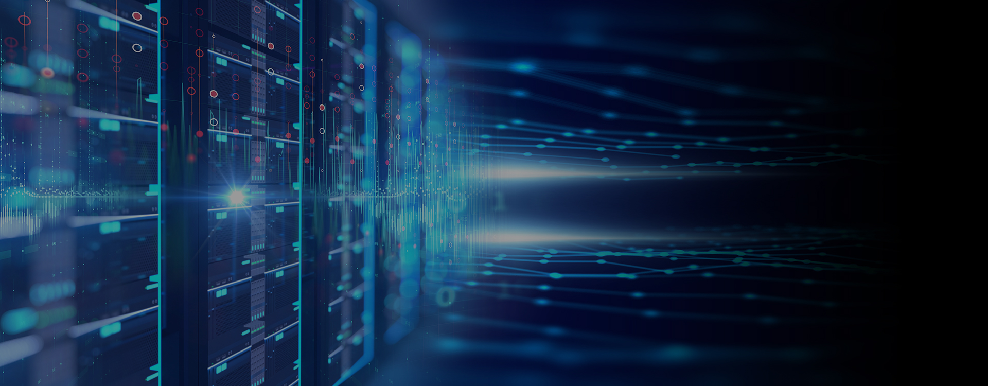 专注信息技术服务十余载